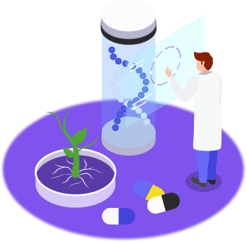 Development & Solutions